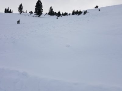 Avalanche released on a NE-facing slope around 7800' in the Soldier Mtns, probably on Dec 13-14. It likely ran on a buried surface hoar layer. 