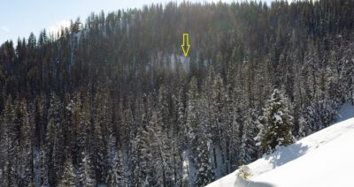 D1 avalanche on 8000ft N facing slope south of Prairie Creek