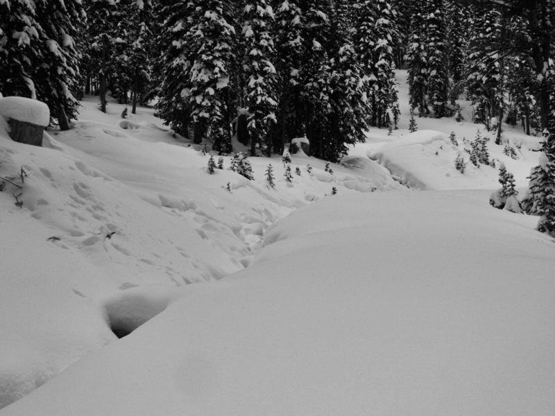 These small persistent slab avalanches are a clear sign that the snowpack in the headwaters of the Salmon River are unstable. 