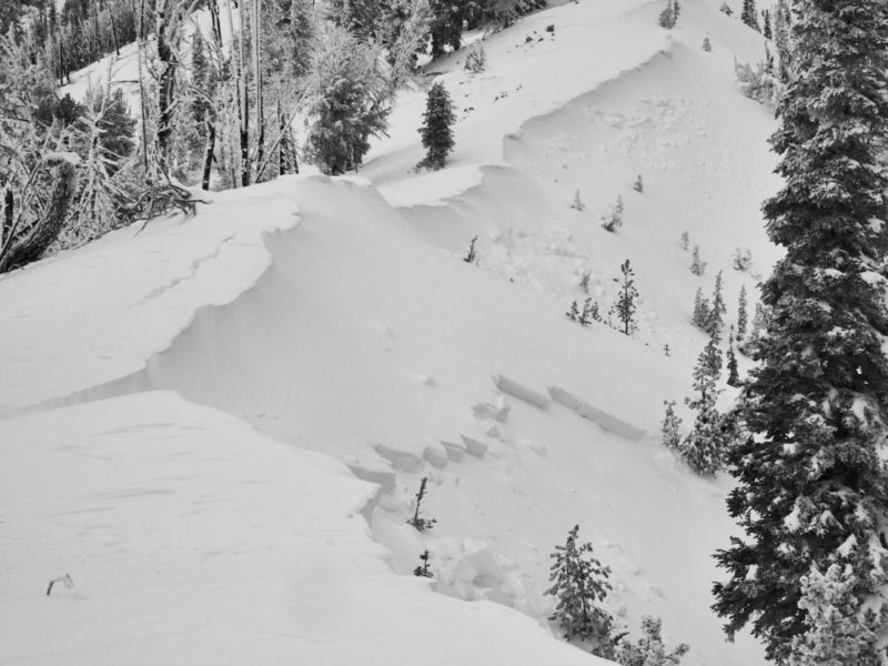 Natural avalanche on Cape Horn Mountain in the Banner Summit zone that failed during 12/11-12/12 storm. NE aspect, 8,900'.