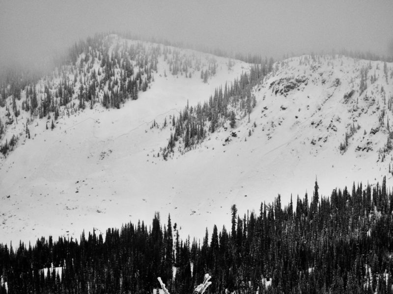 These avalanches were remotely triggered by Ben as he traveled along the ridgeline visible above. NE aspect at 8,600'.  They failed on a layer of surface hoar that was buried on 12/7.