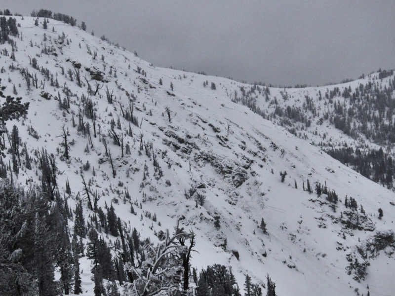 This very large natural avalanche occurred during the storm on 12/11-12/12. Crowns span many hundreds of feet and appear to have initialy failed on surface hoar that was buried on 12/7, before stepping down to deeper layers in the snowpack in places (likely depth hoar that was buried by the storms around Thanksgiving, 11/26).