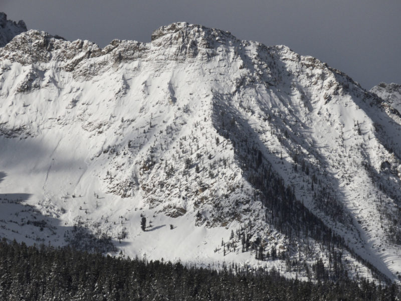 The large natural avalanche on the right side of this photo released at the end of the recent storm cycle in the Sawtooth mountains north of Williams peak on a NE aspect.  Another natural avalanche is visible on the left side of the photo on a SE aspect.
