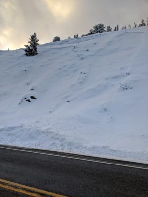 These avalanches occurred on a road cut near the summit of Galena Pass during the weekend's snow storm.