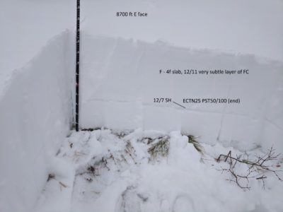 Pit on Butterfield, E facing slope 8700ft