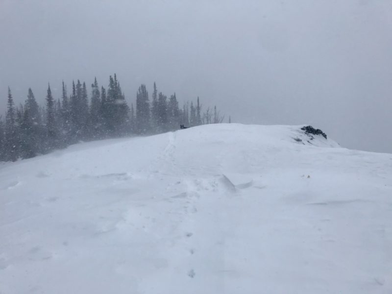 Moderate SE winds were transporting falling snow on Titus Ridge.
