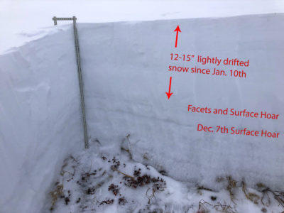 Snow cover in Indian Creek on a 8,200' ENE facing slope. New snow since (1/10/20) comprises roughly half the snow depth. 