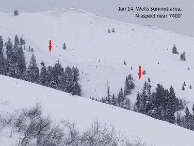 D2, N aspect near 7400' at Wells Summit, unknown trigger.