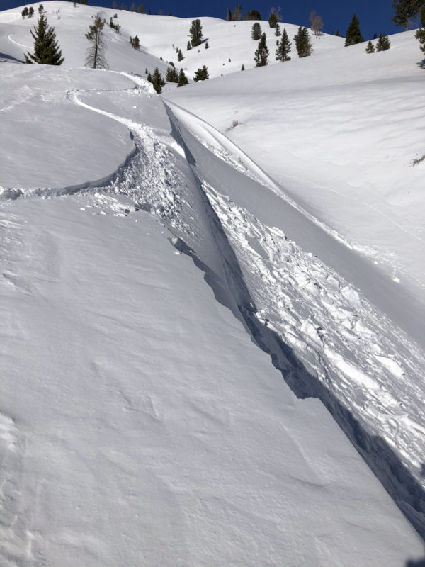 Small, sensitive drifts along cornices on a middle elevation S-facing slope in Baker Creek, Smoky Mountains. 