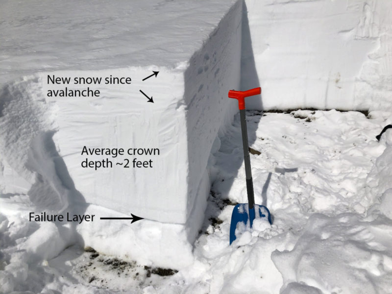 The crown face of the Baker Creek slide (cleaned up with a shovel) is on the left. The failure layer was a weak (fist) 5 cm thick layer of depth hoar. The bed surface was comprised of slightly stronger (4F to 4F+) rounding, moist depth hoar. 