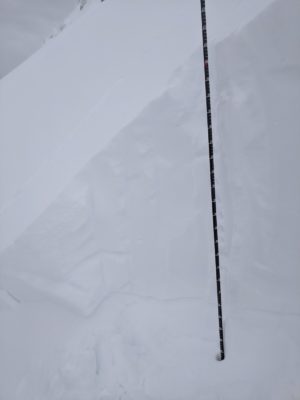 Crown profile of D2 AC avalanche near Titus Peak. Failure layer is 12/31 FC