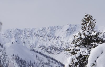 Several D1-D1.5 avalanches in the bowl on the divide between W and E fork of Prairie creek