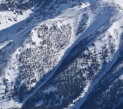 Natural avalanche on Feb 3rd in the Cherry Ck drainage, Boulder Mtns. This slide was 150-200' wide, failed on persistent layers in the lower half of the snowpack, and released on a W aspect near 9900'. 