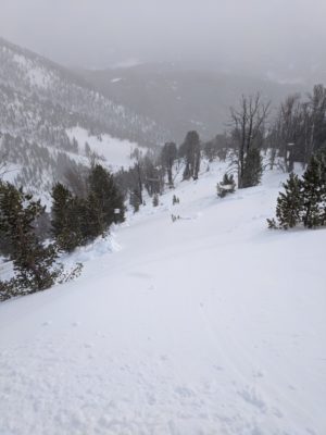 Remotely triggered avalanche on S face of Spring/Cherry ck divide, S face 9600', Boulder Mountains.