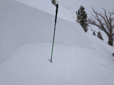 This slab avalanche was remotely triggered in the Boulder Mountains. This is the thickest portion of the crown. 

S face of Spring/Cherry ck divide, 9600' in the Boulder Mountains.