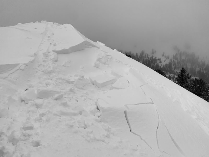 Light snow and wind formed these small, sensitive drifts along Titus Ridge in the Smoky Mountains. 