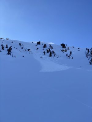 (2/25/20) This skier triggered soft slab avalanche occurred on an E-facing slope at about 10,000' near the head of Beaver Creek. 