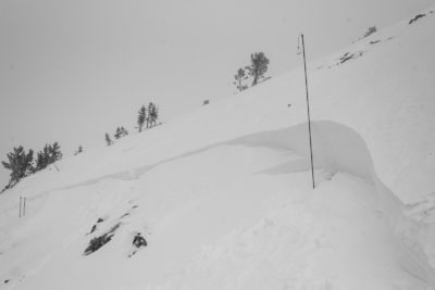 Crown of avalanche in Cherry/Spring ck divide down into Cherry. It failed on NE wind event at the beginning of this week. Crown is 115cm at its thickest, 320cm probe for scale.