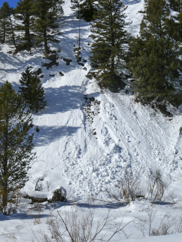 Wet loose avalanche along Little Smoky Creek in the Soldier Mountains. There were about a dozen of these of various sizes that occurred in areas with thin, weak snowpacks at low elevation. 