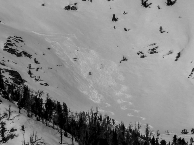 Ski-triggered sluff near Goat Peak. 9,800', SE. 
