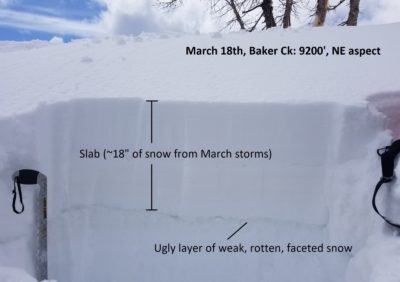 (3-18-20) Snowpit on a wind-loaded ridgeline. 