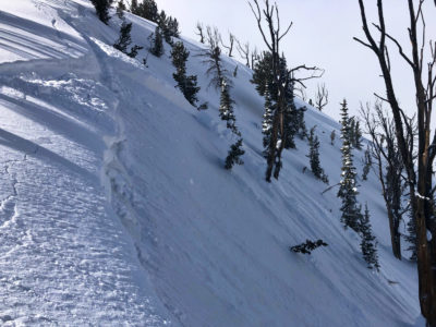 (3-25-20) Wind slab triggered with a ski cut in the Northern Sawtooths. It broke up to 16 inches thick on a steep (~40 degree), NE facing slope at 8300 feet.