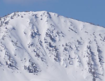 (3/26/20) This small slab avalanche failed on an E-NE aspect near 10000' in the Beaver Creek drainage during the recent storm. It may have failed when hit from above by sluffs. 