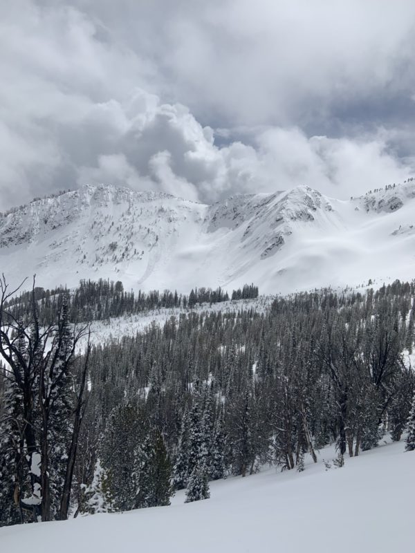 Numerous avalanches on the E ridge down from from Titus Peak