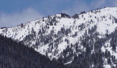 (4-1-2020) These slab avalanches release naturally on E aspects near and above 9000' in the Anderson Creek drainage on Tuesday, 3-31. 