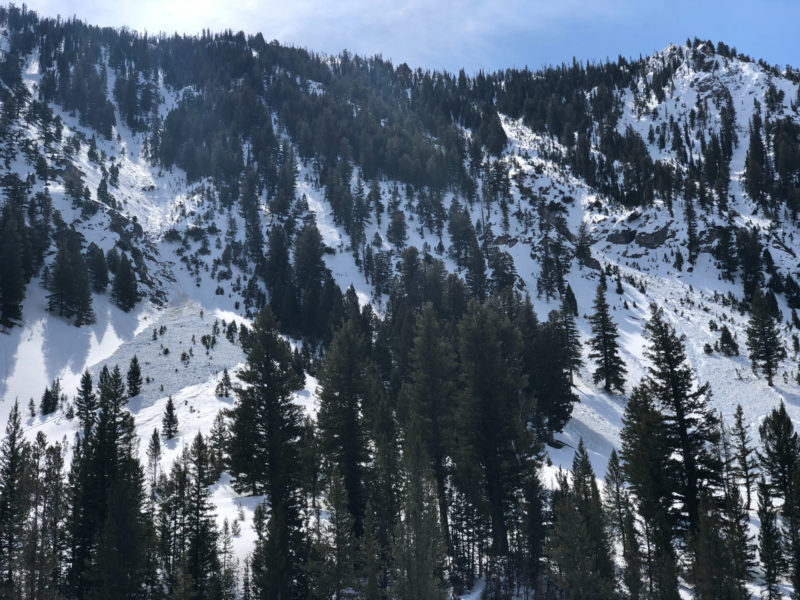 Natural wet loose avalanches in Frenchman's Creek. W, ~8600'