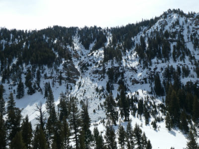 Natural wet loose avalanches in Frenchman's Creek. W, ~8800'
