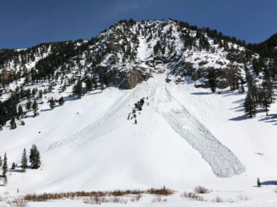 Natural wet slab avalanches in Frenchman's Creek. NW, ~8000'