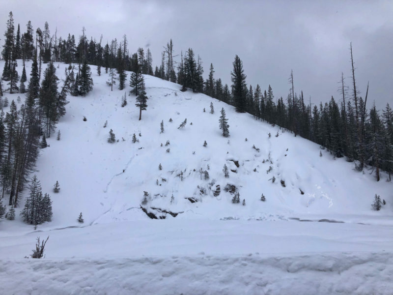A natural avalanche visible from HWY 21 in the Banner Summit zone, near the start of the ascent to Copper Mountain. 7000', WNW.