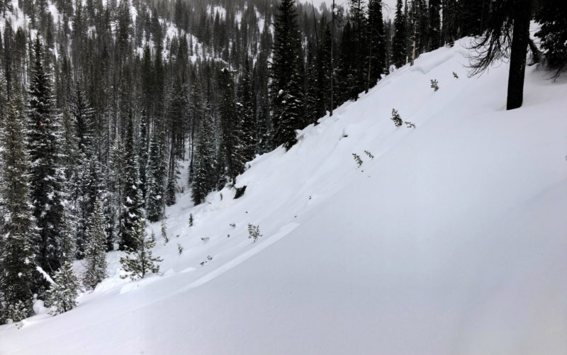 A natural avalanche that occurred at lower elevations near the base of Copper Mountain in the Banner Summit zone. It broke 16" deep on the 12/11 facets. 7100', N.