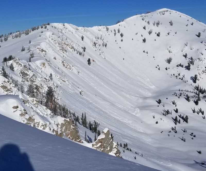 This cluster of slab avalanches released naturally on Paradise Peak in the western Smoky Mountains, likely on Sunday or Monday (Dec 20-21). E aspect, 9300-9600'. 