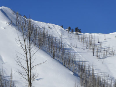 Small, cornice triggered avalanches near Dollarhide Mountain. 