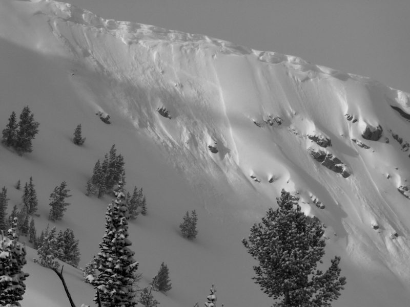 A few generations of small slab and loose snow avalanches from recent storms. E-facing slope at 9,600'.
