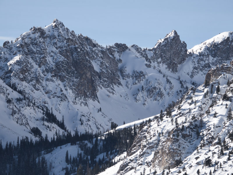 Representative avalanches in Fishhook Creek. Avalanches occurred in the alpine as well as in the sheltered mid elevations (see left foreground).