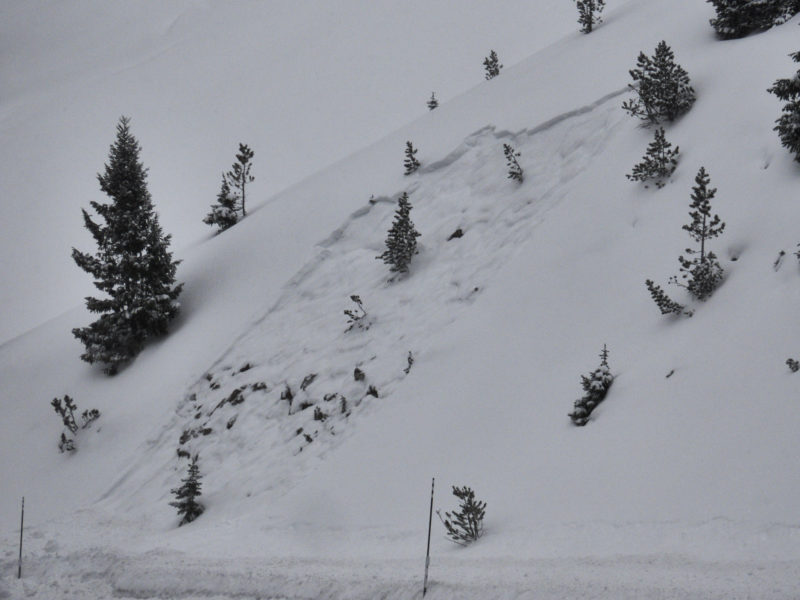 Small, likely plow-triggered avalanche on the Stanley side of Galena Pass. 
