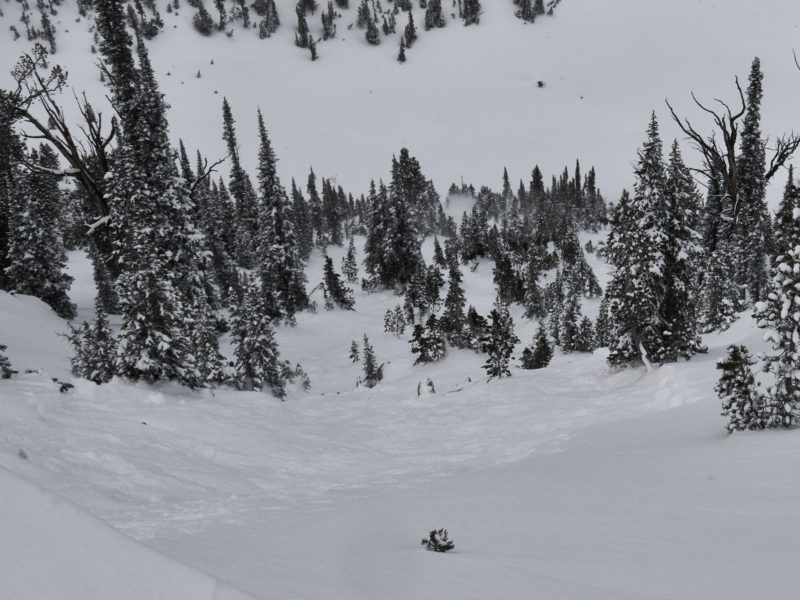 This avalanche was triggered by a cornice. It started out small, but entrained a significant amount of snow as it traveled down slope. You can see the powder cloud in the trees near the bottom of the slope.