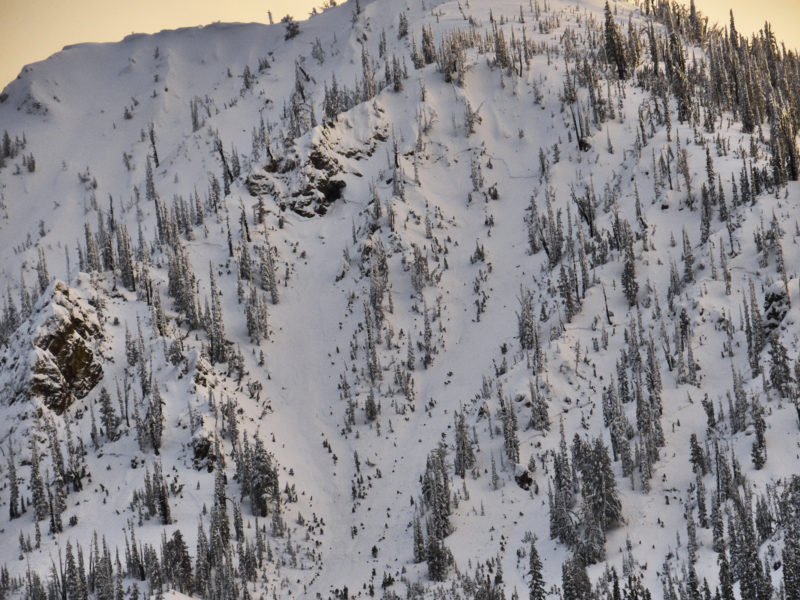 Numerous crowns are visible in this photo of the N aspect of Copper Mountain in the Banner Summit Zone. The NE aspect (on the left side of the photo) also appeared to have avalanched.