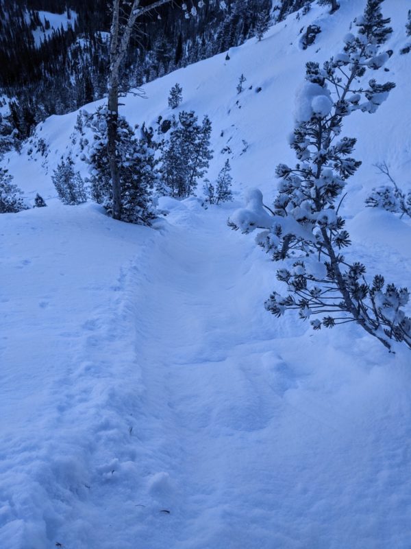 This loose snow avalanche was triggered by a skier near Galena Summit on Saturday. It occurred in steep terrain when the weak, cohesionless snow that formed during the recent drought was pushed downhill, entraining more snow as it went. Similar avalanches continue to be possible in steep terrain. 