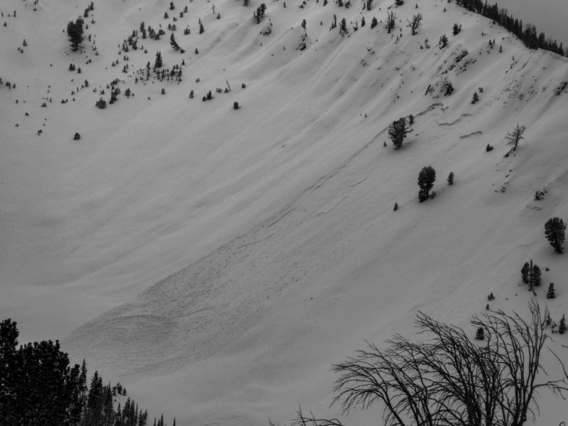 A large slab avalanche that failed during the Jan 4-5th storm. E-facing slope at 9,300'.
