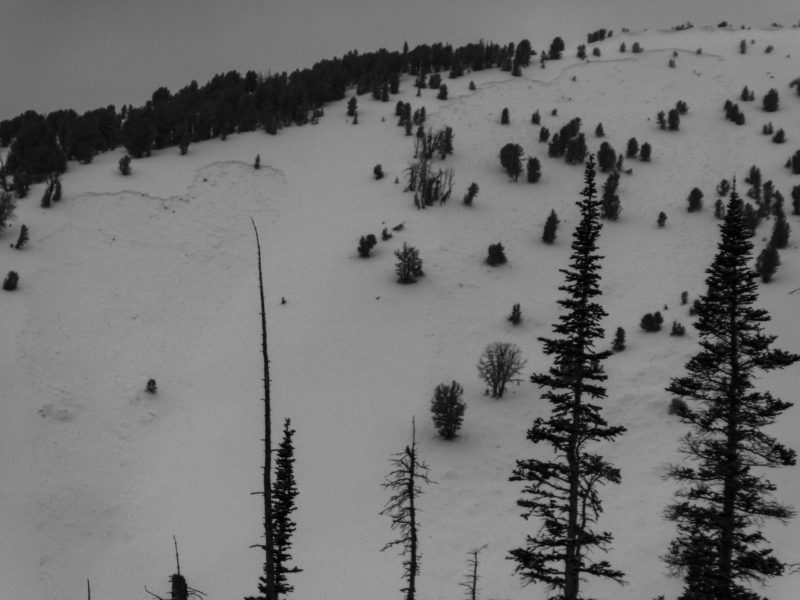 A pair of persistent slabs that failed during the Jan 4-5th storm. SE-facing slopes at 9,800'.