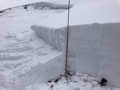 Small persistent slab avalanche on a NE-facing slope at 8,600'. The slide failed on the mid-December (12/11) facets. 
