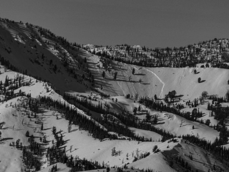 Slab avalanche near Emma Creek. SE facing slope.
