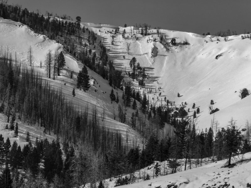 Persistent slab avalanche on a SE-facing slope at ~9,100' at the head of Left Fork Placer Ck.