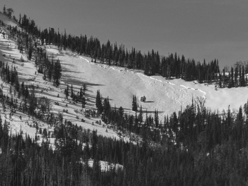 Persistent slab avalanche on a south-facing slope at ~9,000' in Placer Ck. 