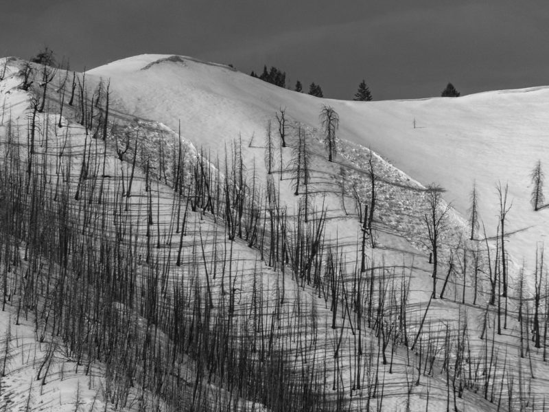 Persistent slab avalanches on a NE-facing slope at ~8,100' near Boyle Mountain. 