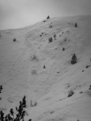 This small slab avalanche  appears to have failed on the new/old interface during or shortly after the storm on January 13th.